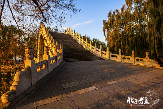 Four seasons in Beijing's parks