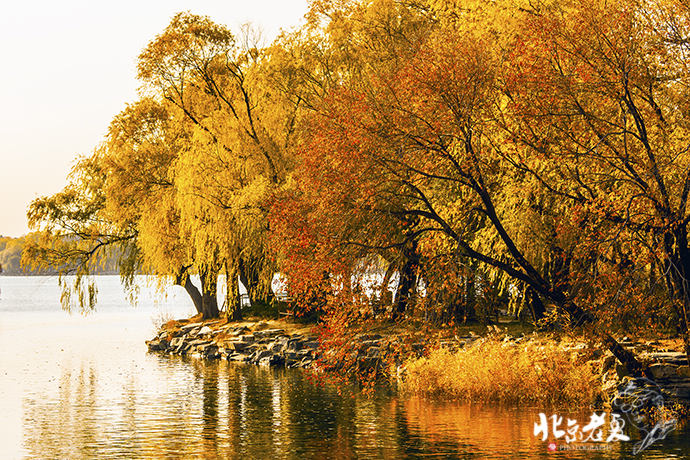 Four seasons in Beijing's parks