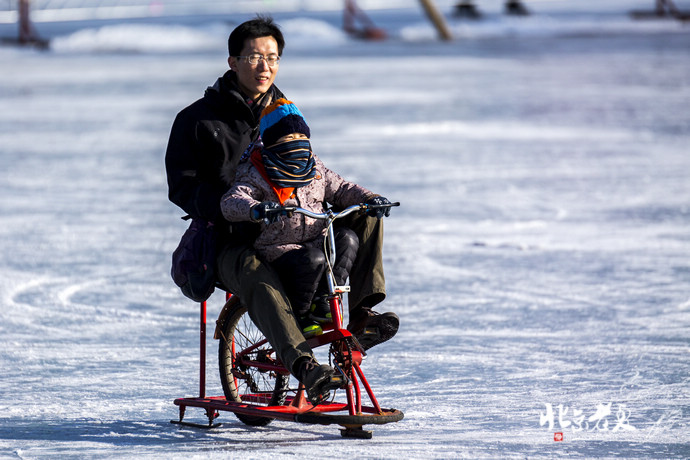 Four seasons in Beijing's parks