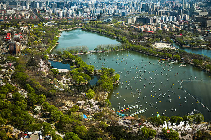 Four seasons in Beijing's parks