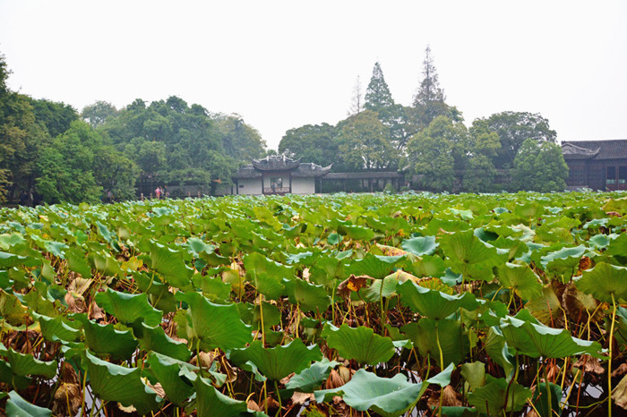 Nanxun, a water town with ancient beauty