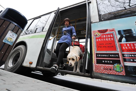 Should guide dogs be allowed on the subway?