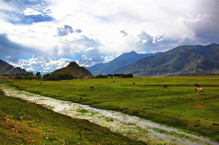 Tibet's Nyingchi prefecture: 