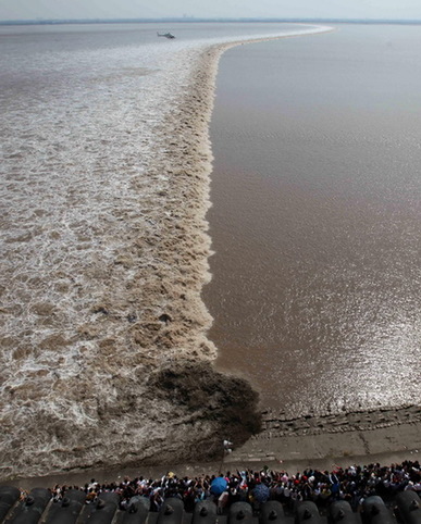 Watching tidal bore at Qiantang River