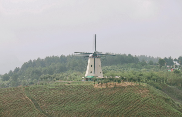 A flower paradise in northern Guizhou