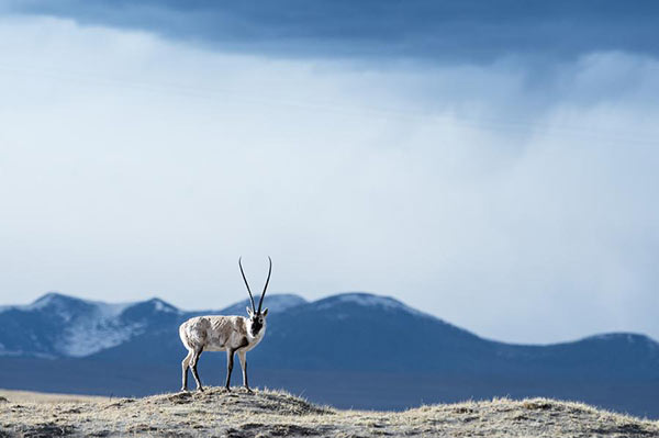 World heritage listing is not a green light for exploitation