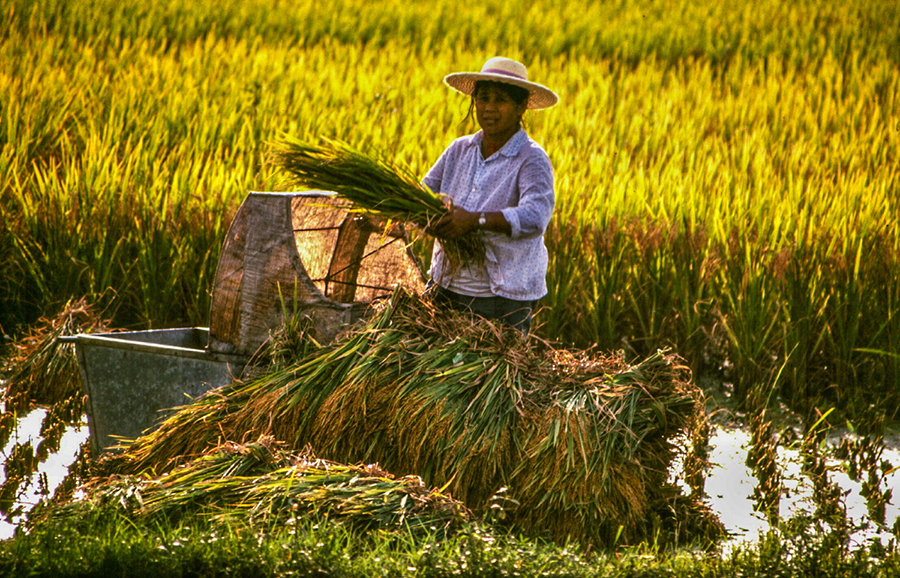 Discovering the physical and ethnic diversity of northern Guangdong