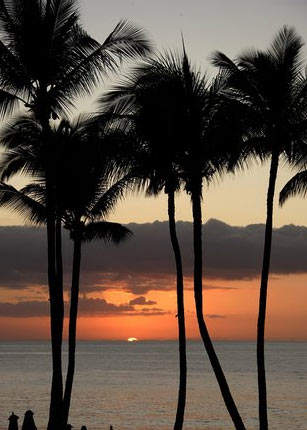 Picture shows a beachfront on the Maui Island. Hawaii is one of the most popular destinations for American honeymooners. Resorts include the Grand Wailea Resort Hotel on Maui and its beachfront, where rooms are at least US$405 a night. 