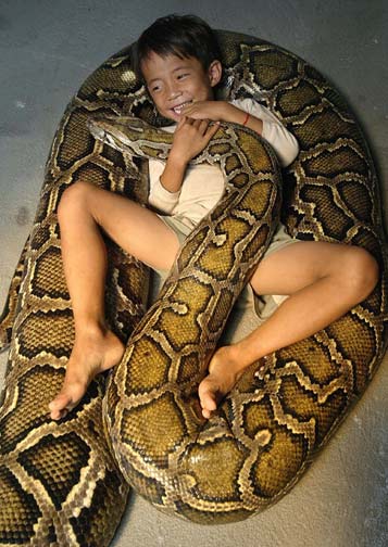 Six-year-old Cambodian boy Oeun Sambat hugs his best friend, 5-metre-long and six-year-old female python named Chamreun or "Lucky" in the village of Sit Tbow in Kandal province, some 50km (31 miles) east of Phnom Penh June 3, 2006. Superstitious villagers in the impoverished southeast Asian nation are flocking to see the boy, who they believe has supernatural powers and was proudly the son of a dragon in a former life. The female python came to live with Sambat in year 2000. [Reuters]