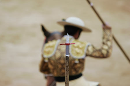 Spanish bullfighter Jose Prados "El Fundi" is tossed by a bull during a bullfight at Pamplona's bullring during the San Fermin festival July 9, 2006. A pack of fighting bulls run through the centre of the town to the bullring every morning during the week-long festival made famous by U.S. writer Ernest Hemingway. [Reuters]