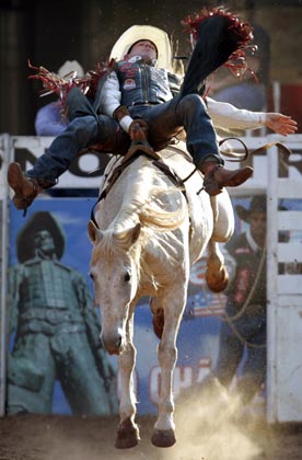 A cowboy rides a wild horse at the Barretos Rodeo International Festival in Barretos, 438 km (272 miles) northwest of Sao Paulo, August 27, 2006. 