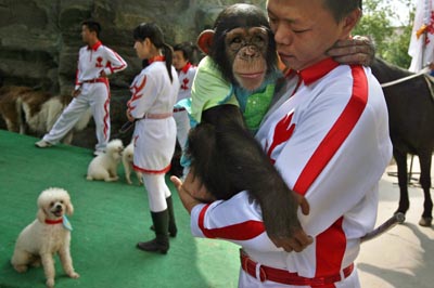 ,,animal olympics,,shanghai wild animal park,,,