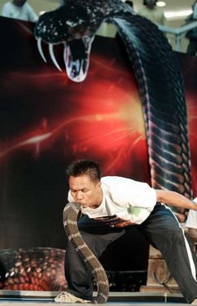 Part-time snake charmer Khum Chaibuddee, 45, kisses a King Cobra at the Ripley's museum in Pattaya, 150 km (93 miles) east of Bangkok, October 7, 2006. Khum made a new world record by consecutively kissing 19 King Cobras which broke the previous record set by Gordon Cates of the U.S. who kissed 11 venomous snakes in 1999.