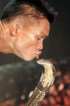 Part-time snake charmer Khum Chaibuddee, 45, kisses a King Cobra at the Ripley's museum in Pattaya, 150 km (93 miles) east of Bangkok, October 7, 2006. Khum made a new world record by consecutively kissing 19 King Cobras which broke the previous record set by Gordon Cates of the U.S. who kissed 11 venomous snakes in 1999.