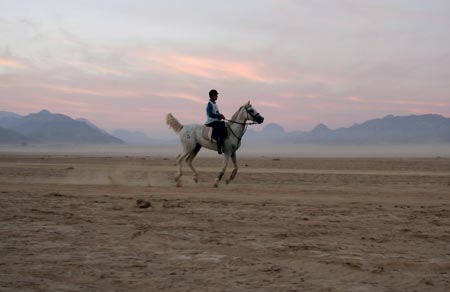 A horse rider from the Middle East competes in a 120 km (75 miles) International Endurance Race in the desert of Wadi Rum in southern Jordan November 14, 2006.