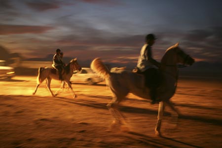 Horse riders from the Middle East compete in a 120 km (75 miles) International Endurance Race in the desert of Wadi Rum in southern Jordan November 14, 2006. 