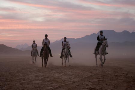 A horse rider from the Middle East competes in a 120 km (75 miles) International Endurance Race in the desert of Wadi Rum in southern Jordan November 14, 2006.