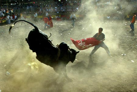 A Nicaraguan man takes part in a bullfight at the festival of Santo Domingo, Patron Saint of Managua, August 6, 2006.