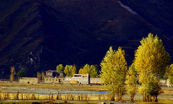 Xindouqiao Town, Daocheng County, Sichuan Province