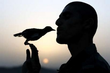 An Afghan National Army soldier plays with a bird at sunset at Three Tank Hill mountain base above Panjwaii village, Kandahar province, southern Afghanistan July 12, 2007.