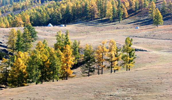 Beautiful sceneries in northern part of Xinjiang