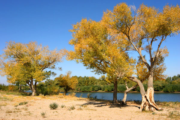 Beautiful sceneries in northern part of Xinjiang