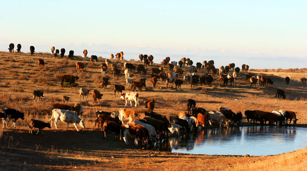 Beautiful sceneries in northern part of Xinjiang