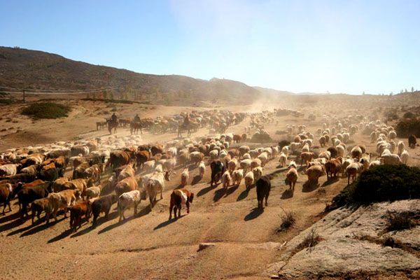 Beautiful sceneries in northern part of Xinjiang