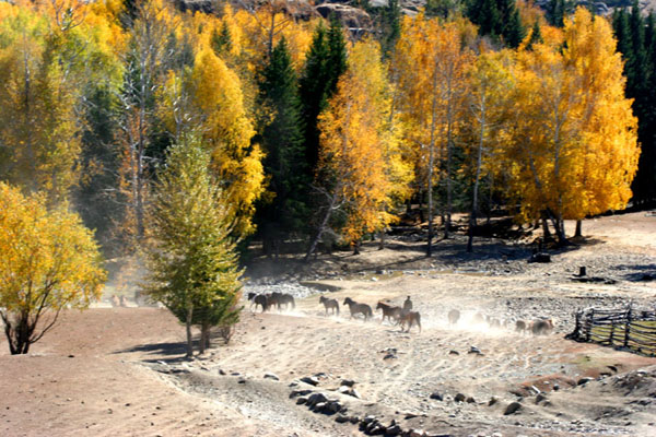 Beautiful sceneries in northern part of Xinjiang