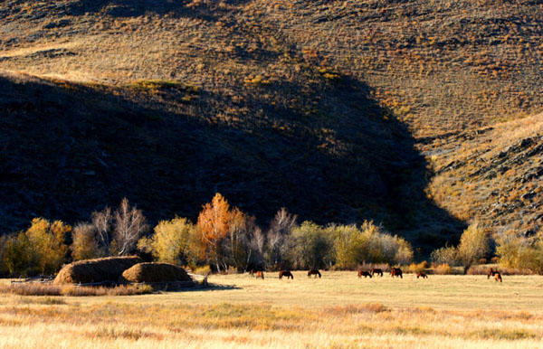 Beautiful sceneries in northern part of Xinjiang