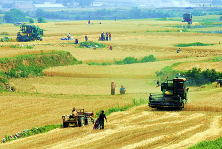 China expecting good grain harvest