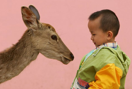 Photo selections from The Beijing News