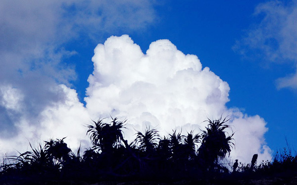 Tonggu Ridge National Nature Reserve