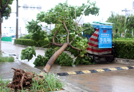 Typhoon Kaemi displaces over 500,000