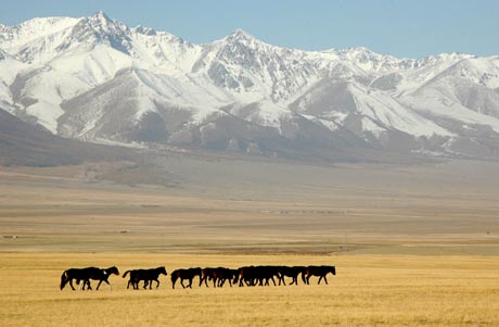 Tianshan Mountains 