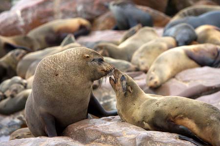 Scenes from Namibia