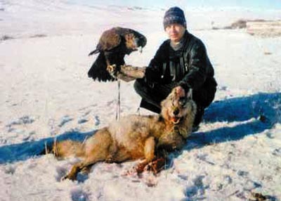 Golden eagles in danger