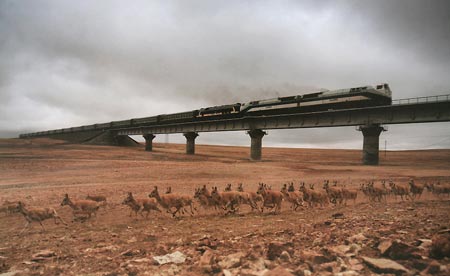 One year anniversary of Qinghai-Tibet railway