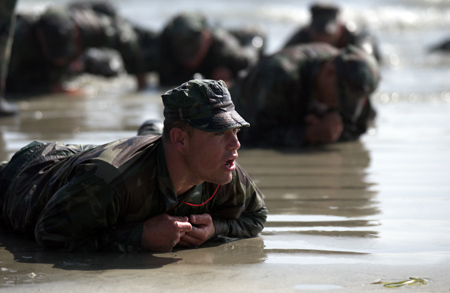 How the Seals were tempered