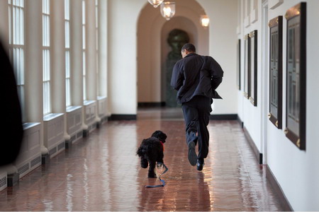 Behind-the-scenes: Obamas and those at White House