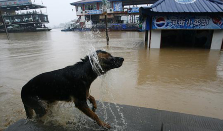 City in SW China passes flood test