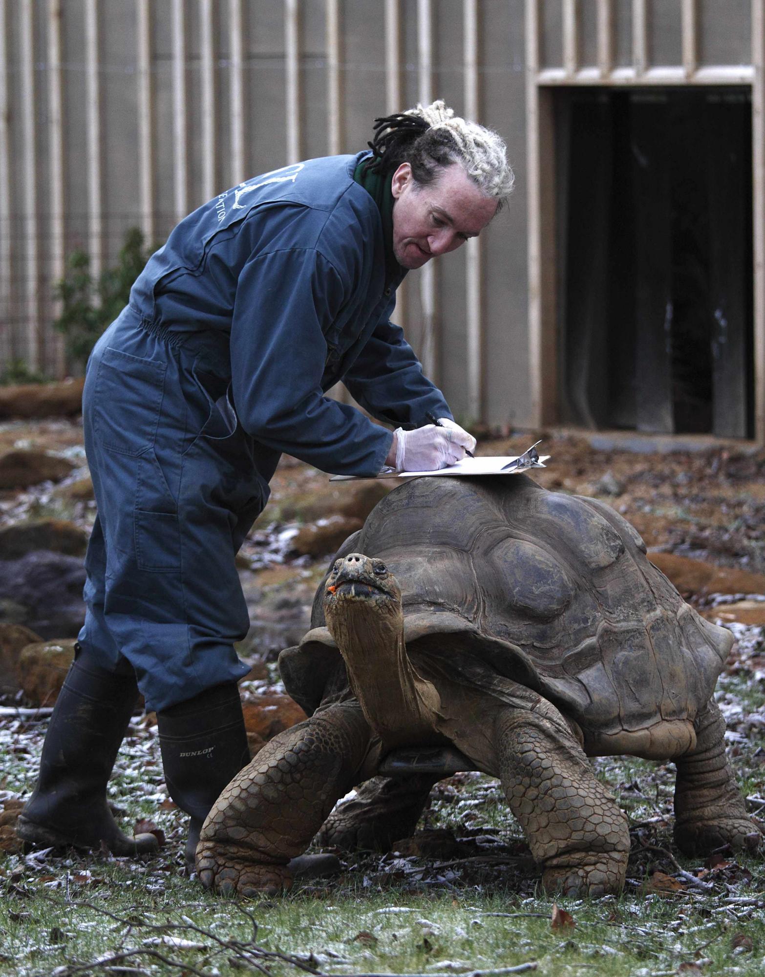 Animals head count in London zoo