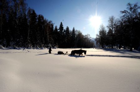 Town in Xinjiang records lowest temperature