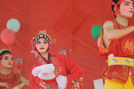 Chinese New Year embraced all over the world