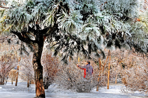Freezing cold hits NE China