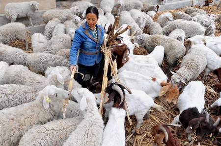 Drought continues in SW China