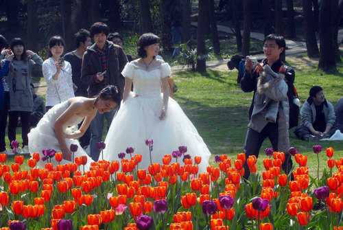 Brides for a day