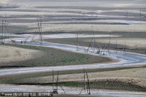 Rain brings no relief for drought stricken Guangxi