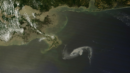 US oil spill threatens wildlife