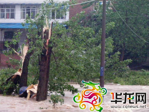 Strong gales, heavy rain hit Chongqing